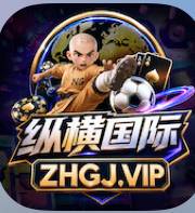 纵横国际